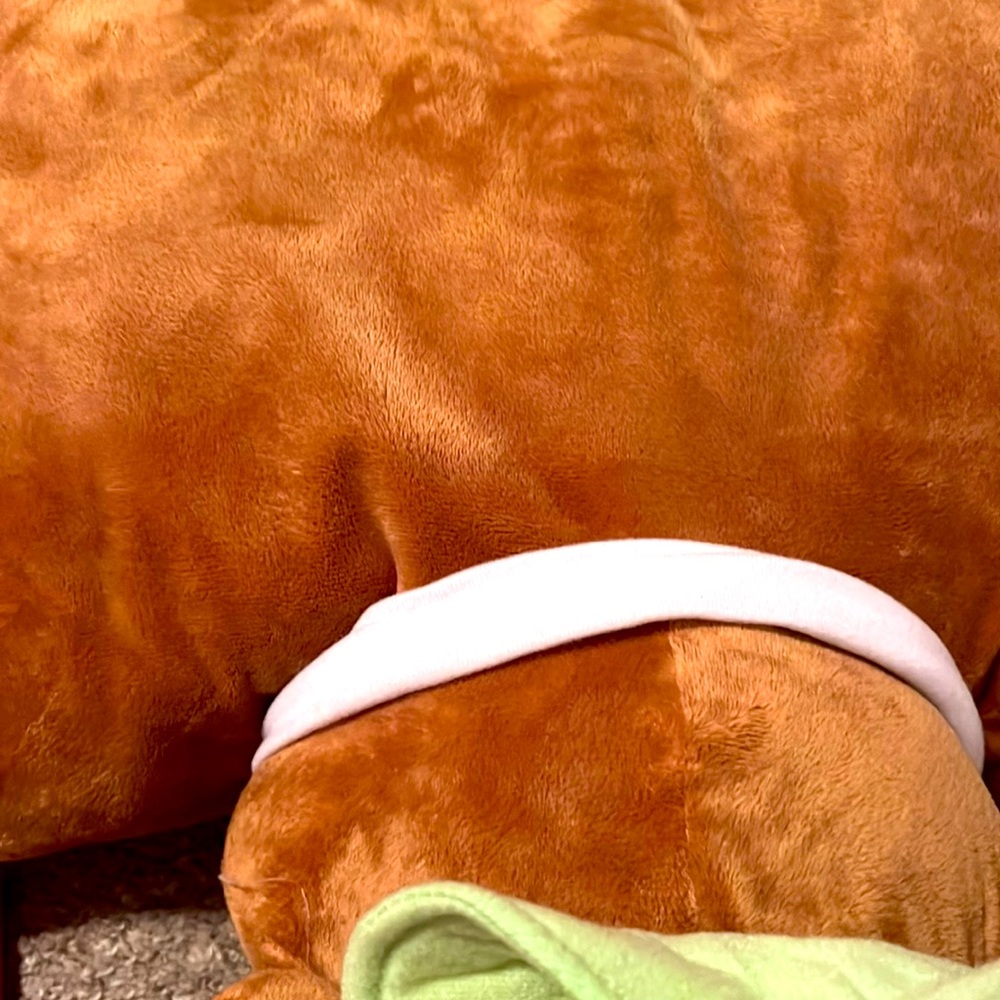 Yoshi bear pillow pet